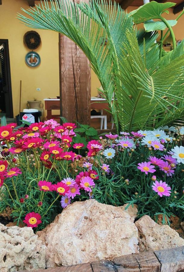 فندق La Casa Di Anna مارسالا المظهر الخارجي الصورة